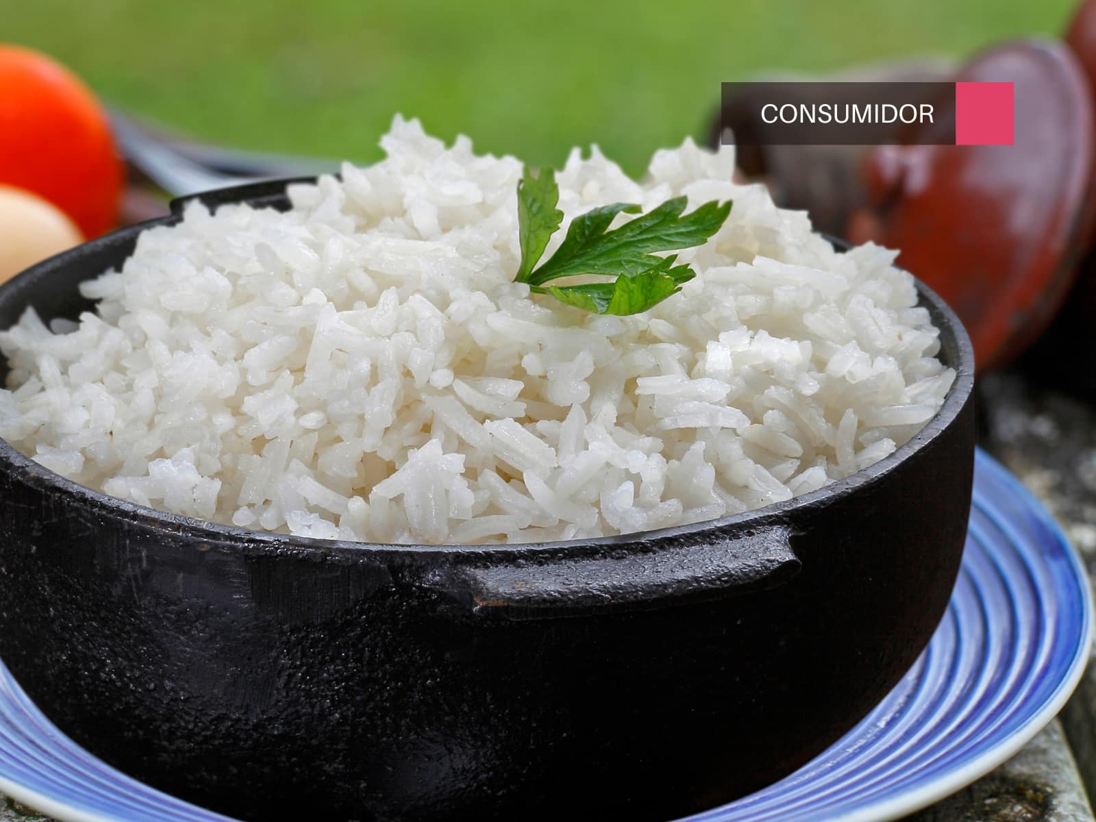 Bowl de arroz cocido con una hora de perejil