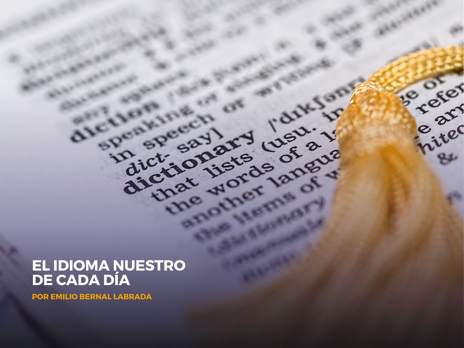 Entrada de diccionario