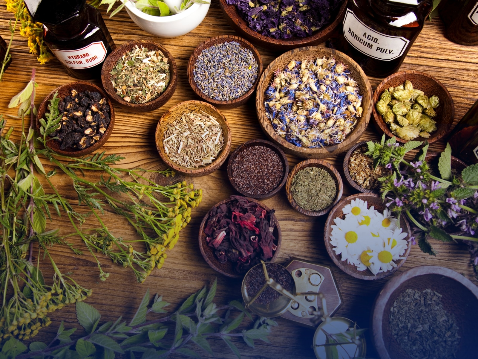 Imagen de hierbas medicinales