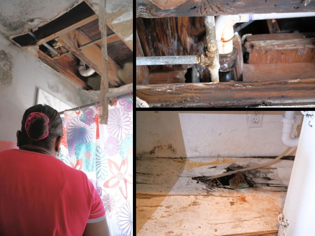 Fotos de inquilina obervando el techo colapsado de su baño y fotos de daños estructurales en su apartamento